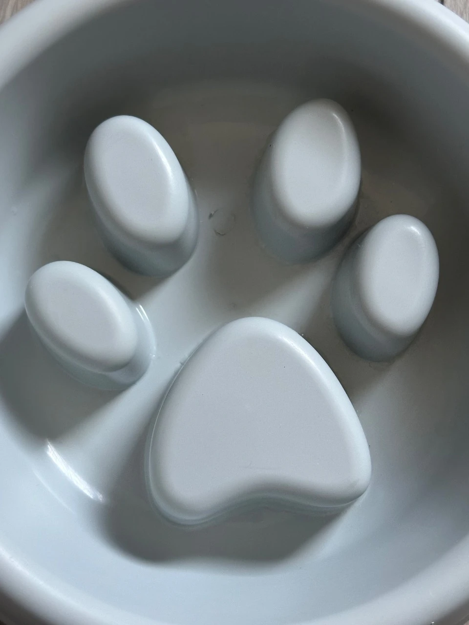 Anti-etende schaal voor hond of kat – Grijs – Zeer goede staat – photo 2